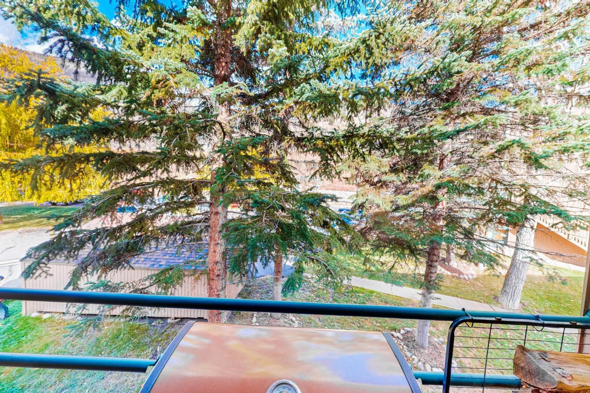 Pitkin Creek Park 7 Villa Vail Cameră foto